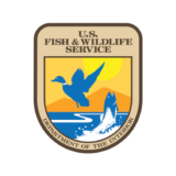 Fish & Wildlife Service